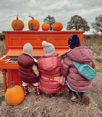 Crossbody bag/waist bag - Laguna