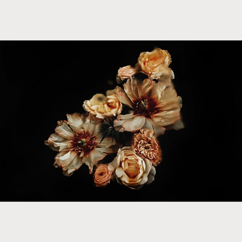 Founders Collection - 1