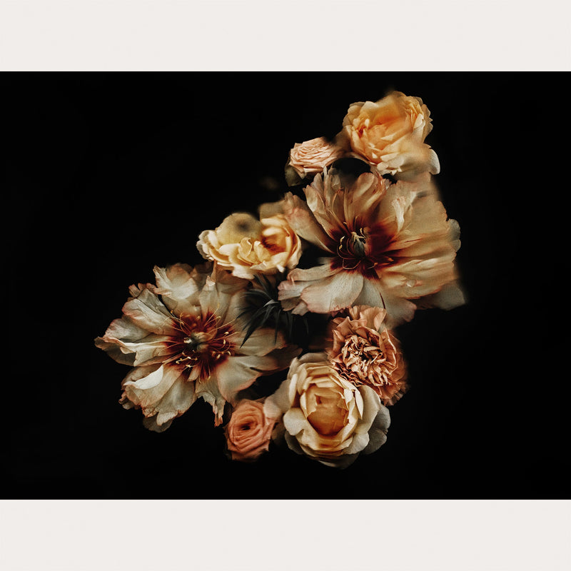 Founders Collection - 1