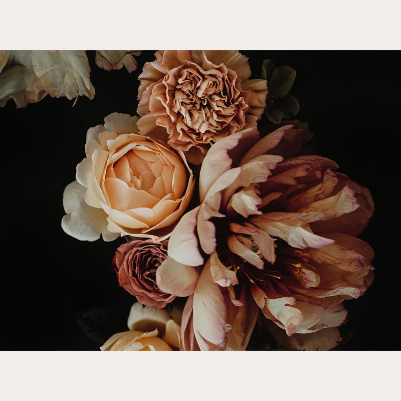 Founders Collection - 4