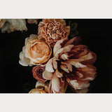 Founders Collection - 4