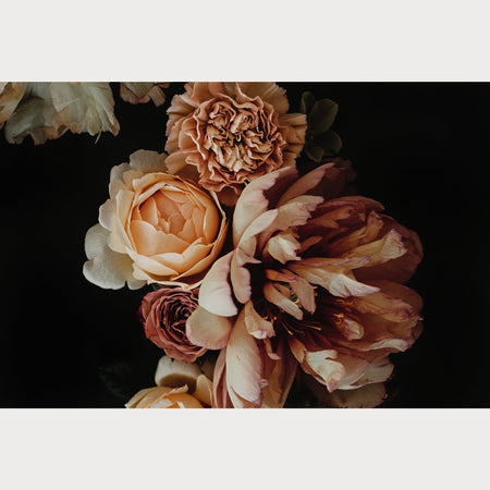 Founders Collection - 4