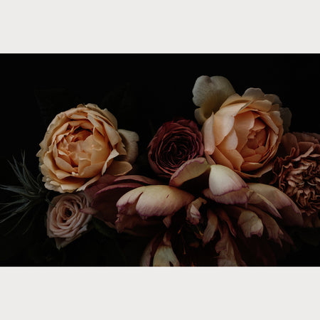 Founders Collection - 5