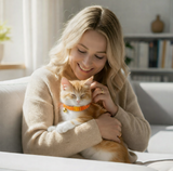 Anypet Large Orange Cat Collar with Safety Buckle, Bell & Durable Adjustable Strap – Stylish Comfortable Pet Collar for Cats
