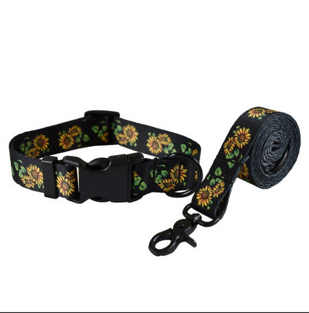 Anypet Dog Collar and Leash Set – Black Sunflower Harness Lead for Training & Walking