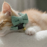 Anypet Large Hunter Green Cat Collar with Safety Buckle, Bell & Durable Adjustable Strap – Stylish Comfortable Pet Accessory for Cats