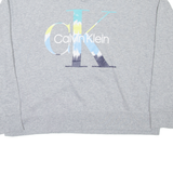 CALVIN KLEIN Womens Sweatshirt Grey V-Neck L