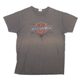 HARLEY DAVIDSON Florida Mens Biker T-Shirt Grey USA XL