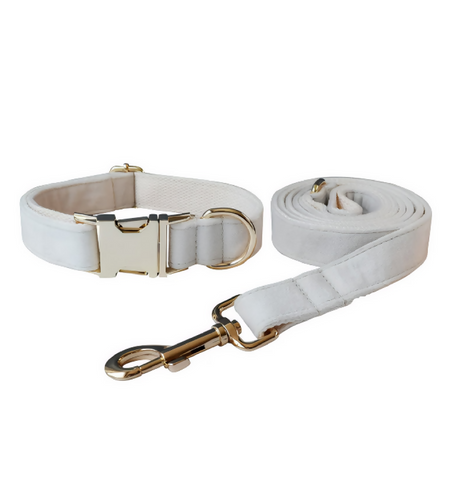 Anypet Dog Collar Leash Set– White Rope Lead for Training & Walking