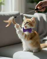 Anypet Stylish Violet Bow Cat Collar – Small Size with Safety Buckle, Bell & Durable Strap