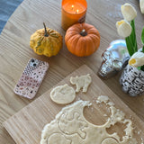 Seashell Autumn Quilt iPhone XR Case