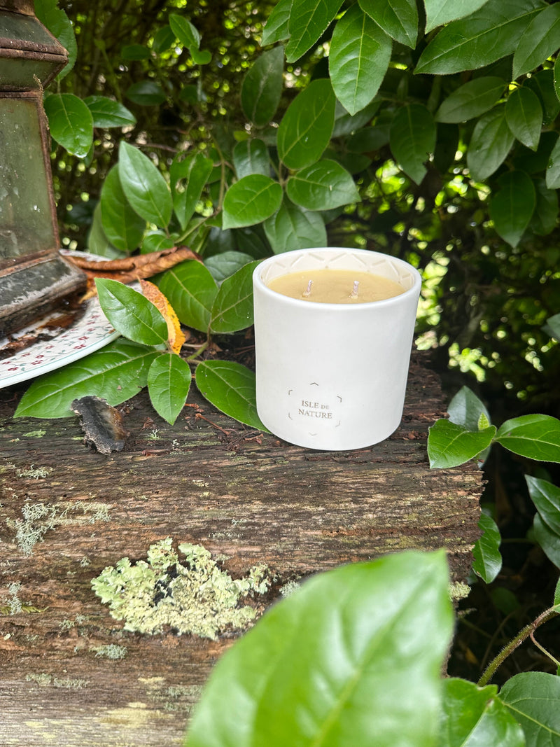 Pagua Bay Fragrance Luxury Beeswax Candle