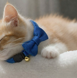 Anypet Small Blue Bow Cat Collar with Safety Buckle, Bell & Durable Adjustable Strap – Stylish Comfortable Pet Accessory for Cats