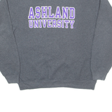 JERZEES Ashland University Ohio Mens Sweatshirt Grey USA L