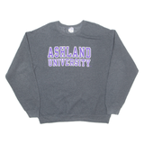 JERZEES Ashland University Ohio Mens Sweatshirt Grey USA L