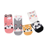 Anyfootwear 5 Pairs One Size 5-9 Candy Color Pets Cartoon Socks Spring Summer Fashion Cotton Cute Happy Funny Casual Socks For Women