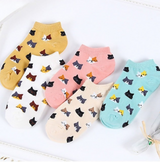 Anyfootwear 5 Pairs One Size 5-9 Candy Color Kitten Summer Invisible Female Fashion Casual Cute Cartoon Short Cotton Ladies Dropship