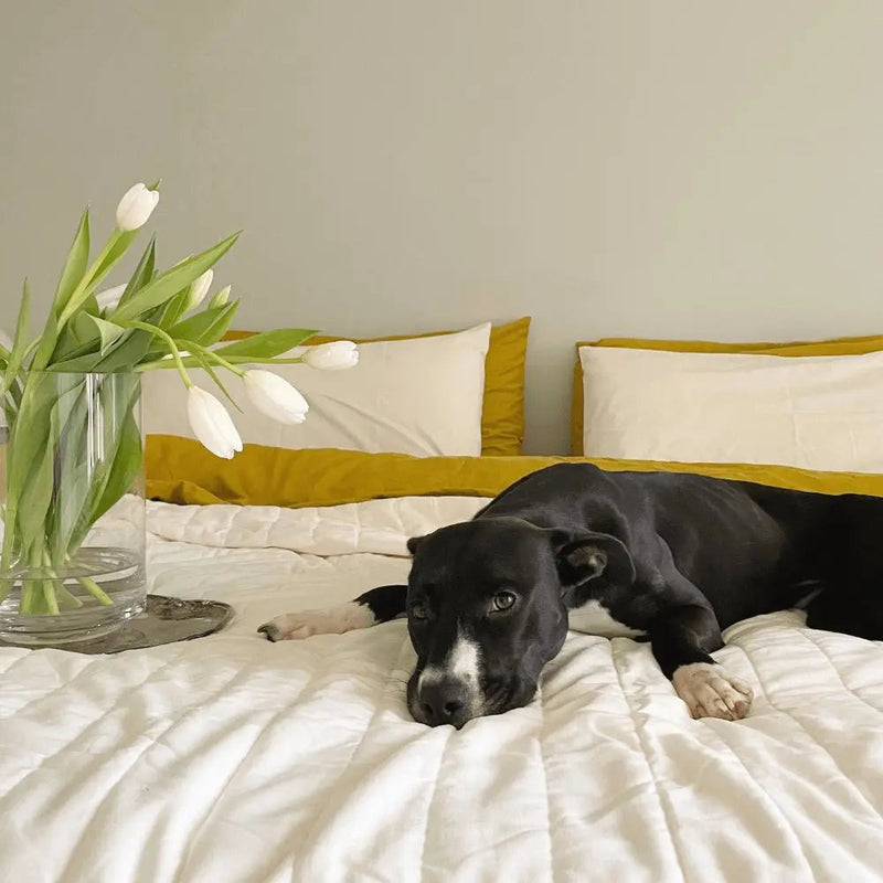 Linen+ Bamboo Quilted Coverlet