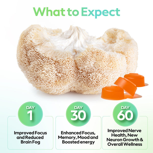 Lion's Mane Mushroom Gummies