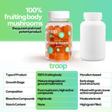 Lion's Mane Mushroom Gummies