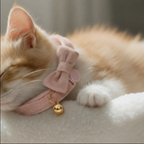 Anypet Stylish Baby Pink Cat Bow Collar Small Size – Cute Bow Design with Safety Buckle, Bell & Durable Strap for Cats & Small Pets