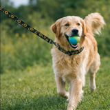 Anypet Dog Collar and Leash Set – Black Sunflower Harness Lead for Training & Walking
