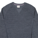 CHAMPION Mens Sweatshirt Grey L