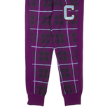 CHAMPION REVERSE WEAVE Check Womens Joggers Purple Tapered S W24 L30