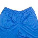 CHAMPION Mens Sports Shorts Blue Relaxed XL W34