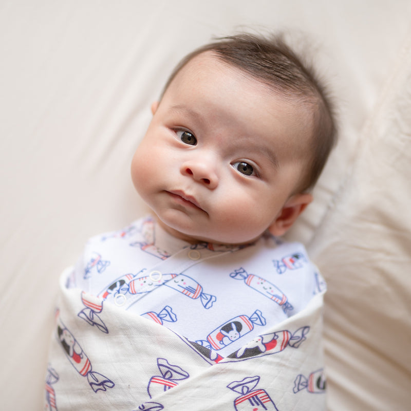 the wee bean cute baby swaddled in rabbit candy bunny swaddle