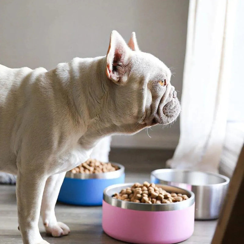 Stainless Steel Dog Bowl