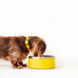 Stainless Steel Dog Bowl