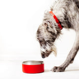 Stainless Steel Dog Bowl