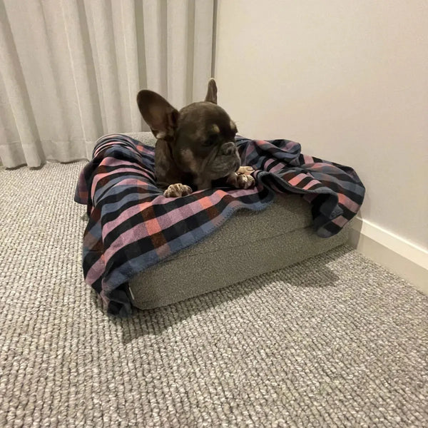 Australian Merino Wool Dog Blanket