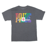 CHAMPION Pride Indiana University Mens T-Shirt Grey USA M
