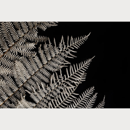 Nordic Simplicity - 1