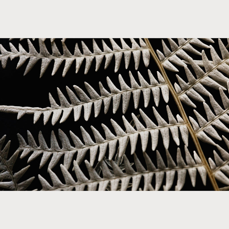 Nordic Simplicity - 2