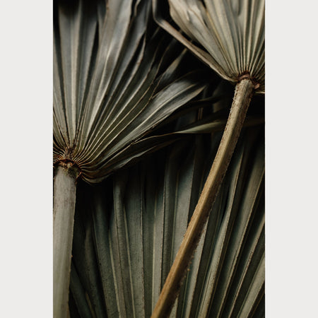 Nordic Simplicity - 4