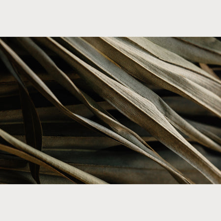 Nordic Simplicity - 5