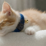 Anypet Large Blue Cat Collar with Safety Buckle, Bell & Durable Adjustable Strap – Stylish Comfortable Pet Accessory for Cats