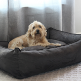 Oasis Plush Pillow Dog Bed