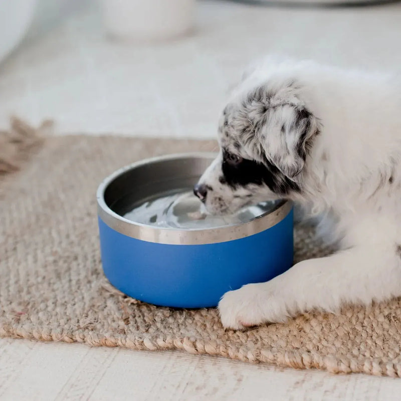 Stainless Steel Dog Bowl