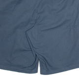DICKIES Mens Workwear Shorts Blue Relaxed Striped 2XL W40