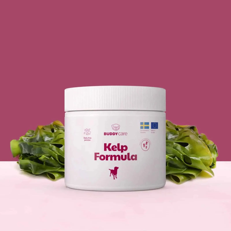 BuddyCare - Kelp Formula