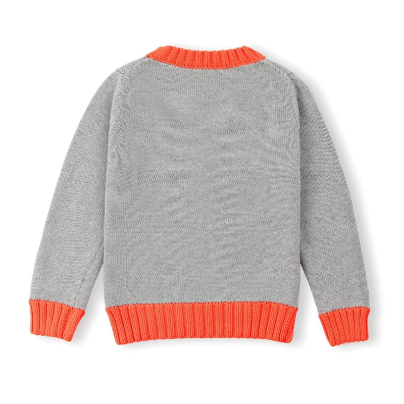 Colorblock Crewneck Sweater