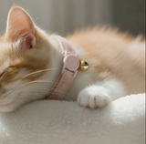 Anypet Large Baby Pink Cat Collar with Safety Buckle, Bell & Durable Adjustable Strap – Stylish Comfortable Pet Accessory for Cats