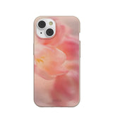 Seashell Radiate iPhone 14/16e Case