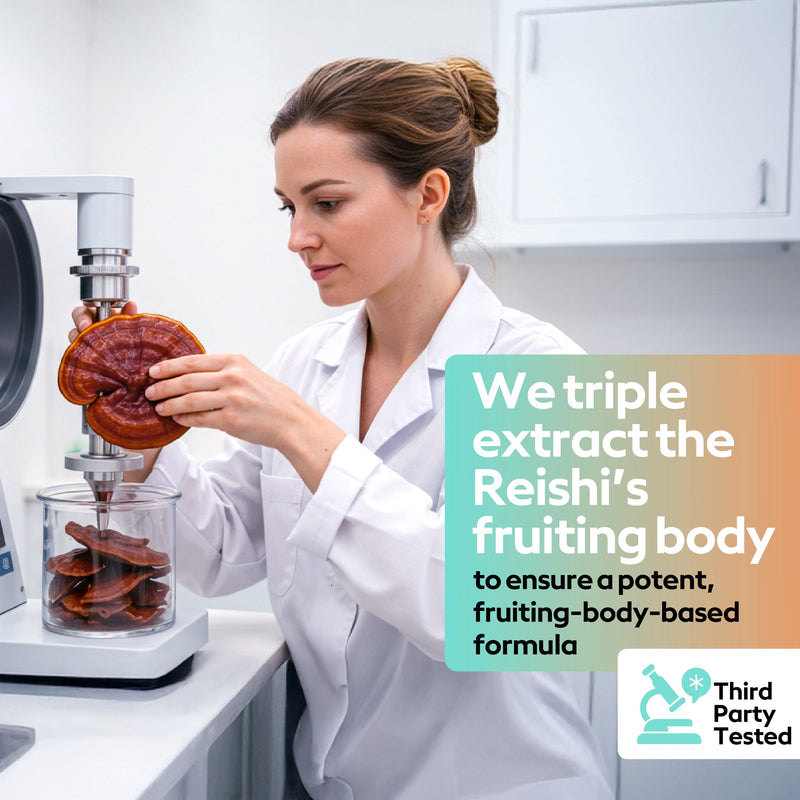 Reishi Mushroom Gummies