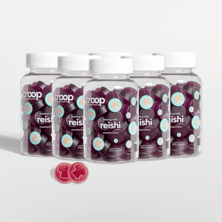 Reishi 6 Month Bundle