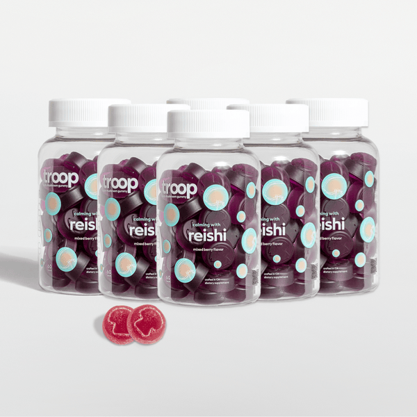 Reishi 6 Month Bundle